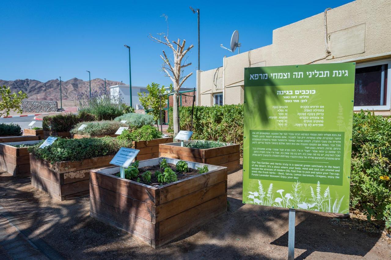 Eilot Kibbutz Country Lodging Eilat Exterior photo